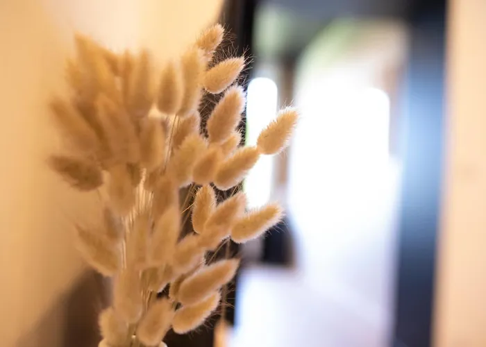 Loge Zen A 100m De Thermal Nancy